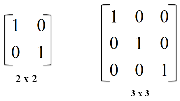 Hasil gambar untuk contoh matriks identitas
